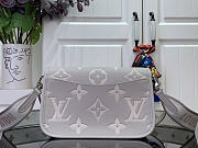 Louis Vuitton LV Diane Bag Grey 24x15x9cm - 4