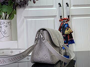 Louis Vuitton LV Diane Bag Grey 24x15x9cm - 2