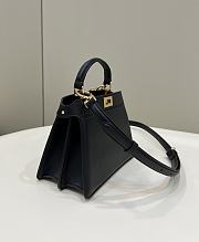 Fendi Peekaboo ISeeU Petite Black Bag 20x11x15cm - 2