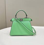 Fendi Peekaboo ISeeU Petite Green Bag 20x11x15cm - 1