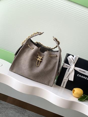 Chanel Cruise 25C Bag Grey Hobo 30x26x14cm