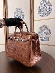 Hermes Birkin 25 Bag Brown Crocodile Silver 25cm - 3