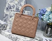 Dior Medium Lady Bag Pink Matte 24cm - 2