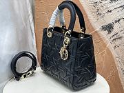 Dior Medium Lady Bag Black Graphic Calfskin 24x21x12cm - 6