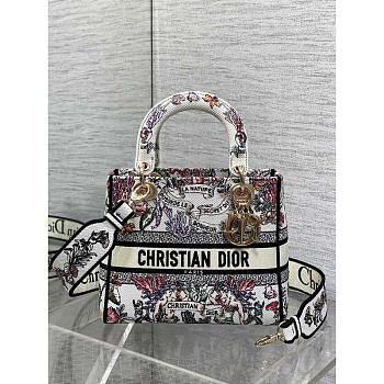 Dior Medium Lady D-Lite Bag Latte Multicolor Cabinet 24x11x20cm