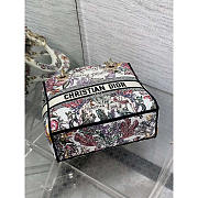 Dior Medium Lady D-Lite Bag Latte Multicolor Cabinet 24x11x20cm - 5