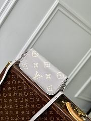 Louis Vuitton LV Wallet On Chain Ivy Grey 23.5x12x4.3cm - 2