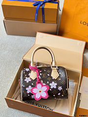 Louis Vuitton LV x TM Speedy 20 Sakura Brown 20cm - 6
