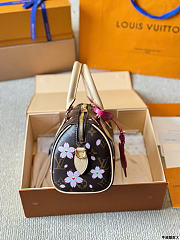 Louis Vuitton LV x TM Speedy 20 Sakura Brown 20cm - 5