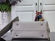 Louis Vuitton LV CarryAll PM Grey Bag 29.5x24x12cm - 5