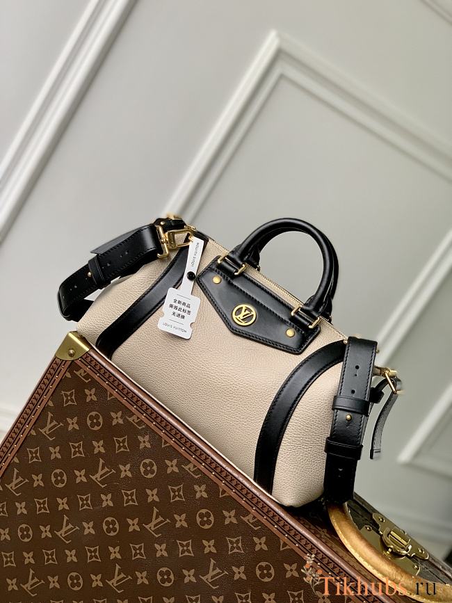 Louis Vuitton LV Biker PM Grey Bag 30x12x12cm - 1