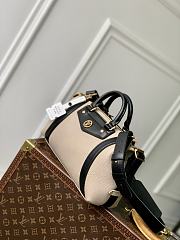 Louis Vuitton LV Biker PM Grey Bag 30x12x12cm - 4