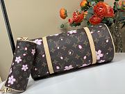 Louis Vuitton LV x TM Papillon Sakura Brown 27x11x13cm - 6