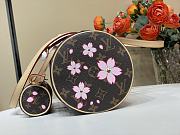 Louis Vuitton LV x TM Papillon Sakura Brown 27x11x13cm - 5