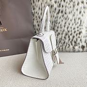 Delvaux Brillant Mini White Crocodile 20x12x15cm - 6