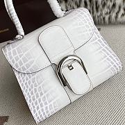 Delvaux Brillant Mini White Crocodile 20x12x15cm - 4