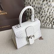 Delvaux Brillant Mini White Crocodile 20x12x15cm - 2