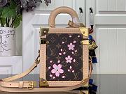 Louis Vuitton LV x TM Camera Box Sakura Brown 17.5x21.5x10.5cm - 5