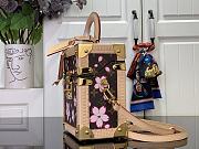 Louis Vuitton LV x TM Camera Box Sakura Brown 17.5x21.5x10.5cm - 3