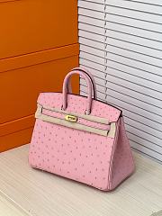 Hermes Birkin 25 Bag Pink Ostrich Gold 25cm - 3