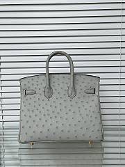 Hermes Birkin 25 Bag Grey Ostrich Gold 25cm - 5