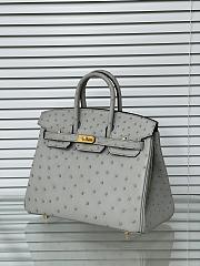 Hermes Birkin 25 Bag Grey Ostrich Gold 25cm - 4