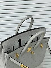 Hermes Birkin 25 Bag Grey Ostrich Gold 25cm - 3