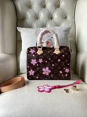 Louis Vuitton LV x TM Speedy 25 Sakura Brown 25x19x15cm - 4