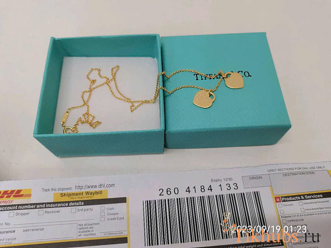 Tiffany and Co Gold Necklace - 1