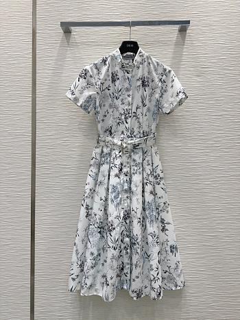 Dior Dress