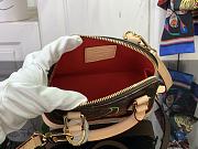 Louis Vuitton LV x TM Nano Alma 18x12x8cm - 2