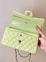 Chanel Flap Bag Light Green Lambskin 25cm - 4