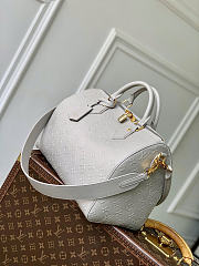 Louis Vuitton Speedy Soft 30 Bag Grey 30x21x17cm - 5