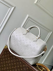 Louis Vuitton Speedy Soft 30 Bag Grey 30x21x17cm - 4