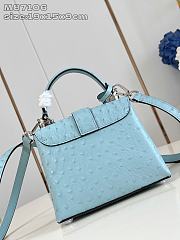 Louis Vuitton LV Rose des Vents Blue Ostrich 19x15x9cm - 5