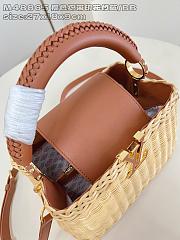Louis Vuitton LV Capucines BB Raffia Brown 27x9x18cm - 6