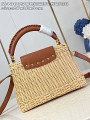 Louis Vuitton LV Capucines BB Raffia Brown 27x9x18cm - 2