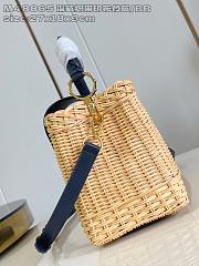 Louis Vuitton LV Capucines BB Raffia Nvay Blue 27x9x18cm - 3