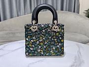 Dior Small Lady Bag Multicolor Black Green 20cm - 2
