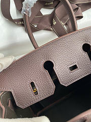 Hermes Birkin 25 Bag Brown Gold Togo 25cm - 4