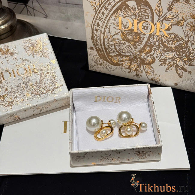 Dior Earrings 19 - 1