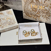Dior Earrings 19 - 1