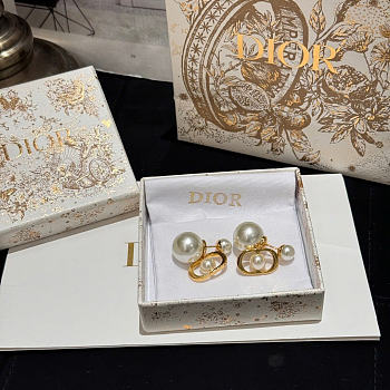 Dior Earrings 19