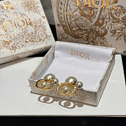 Dior Earrings 19 - 2
