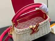 Louis Vuitton LV Mini Capucines Raffia Pink 21x8x14cm - 3