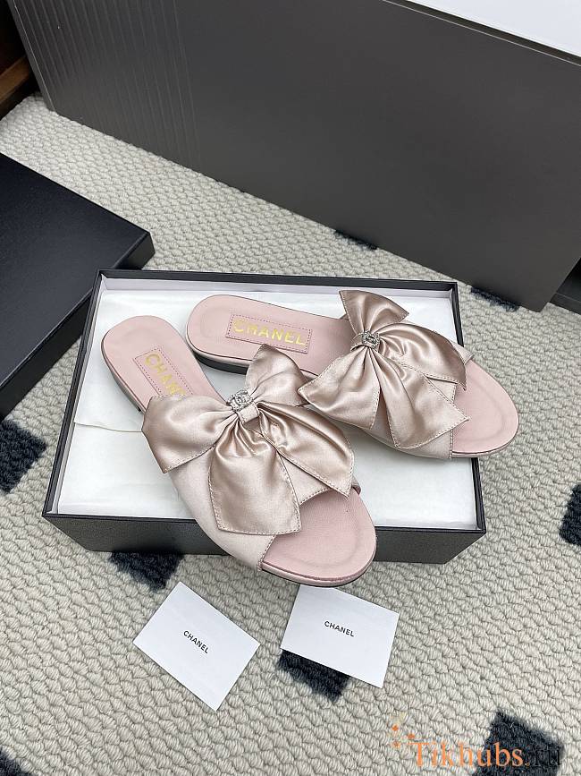 Chanel Pink Slides 05 - 1