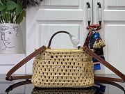 Louis Vuitton LV Vanity Chain Pouch Raffia 19x6.5x11.5cm - 5