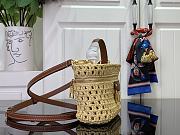 Louis Vuitton LV Vanity Chain Pouch Raffia 19x6.5x11.5cm - 4