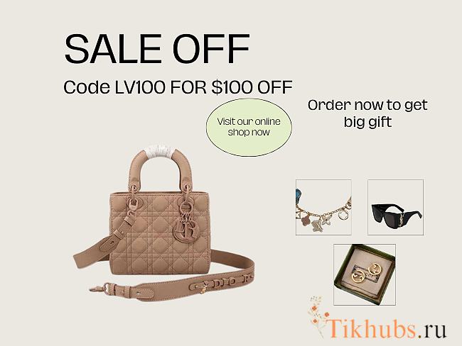 Dior Small Lady Bag Matte Pink 20cm - 1