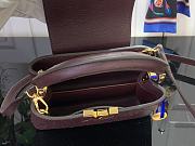 Louis Vuitton LV Mini Capucines Dark Brown Ostrich 21x14x8cm - 6